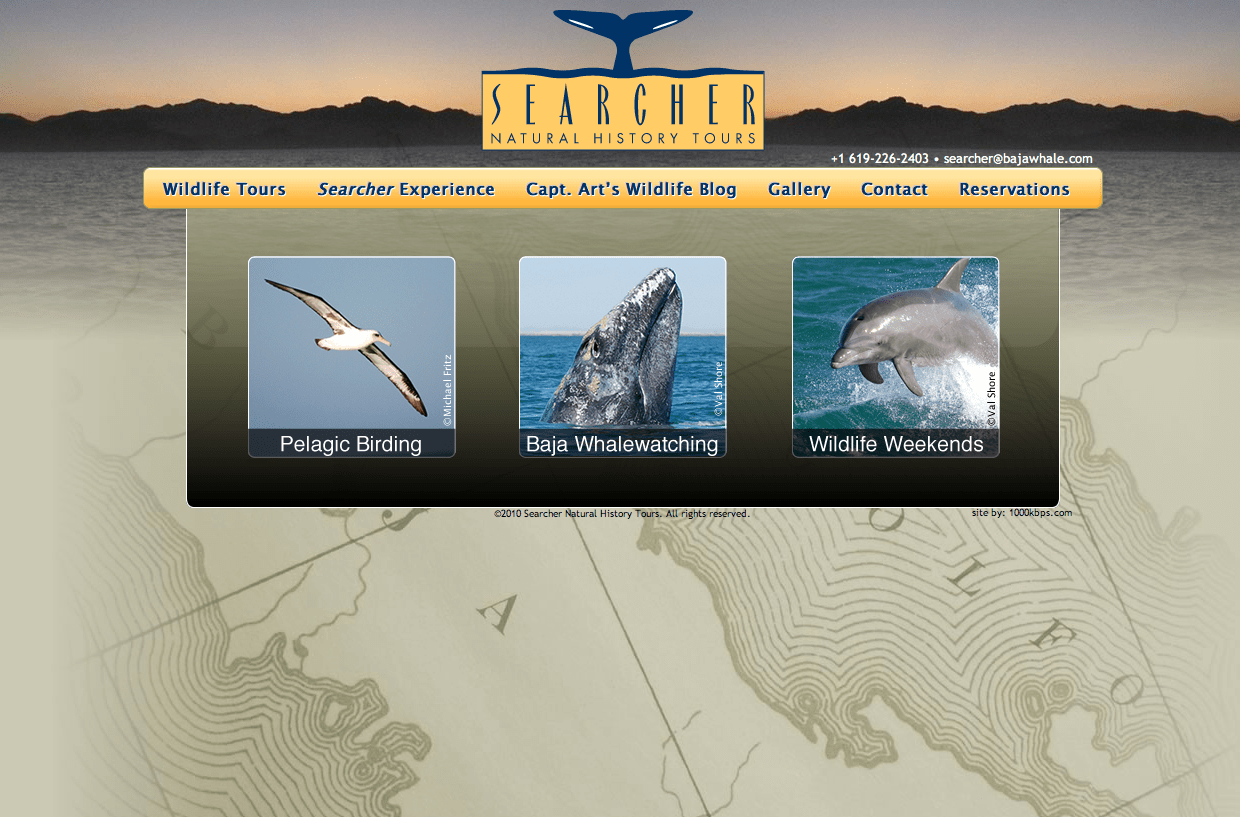 Photo of Bajawhale.com Website